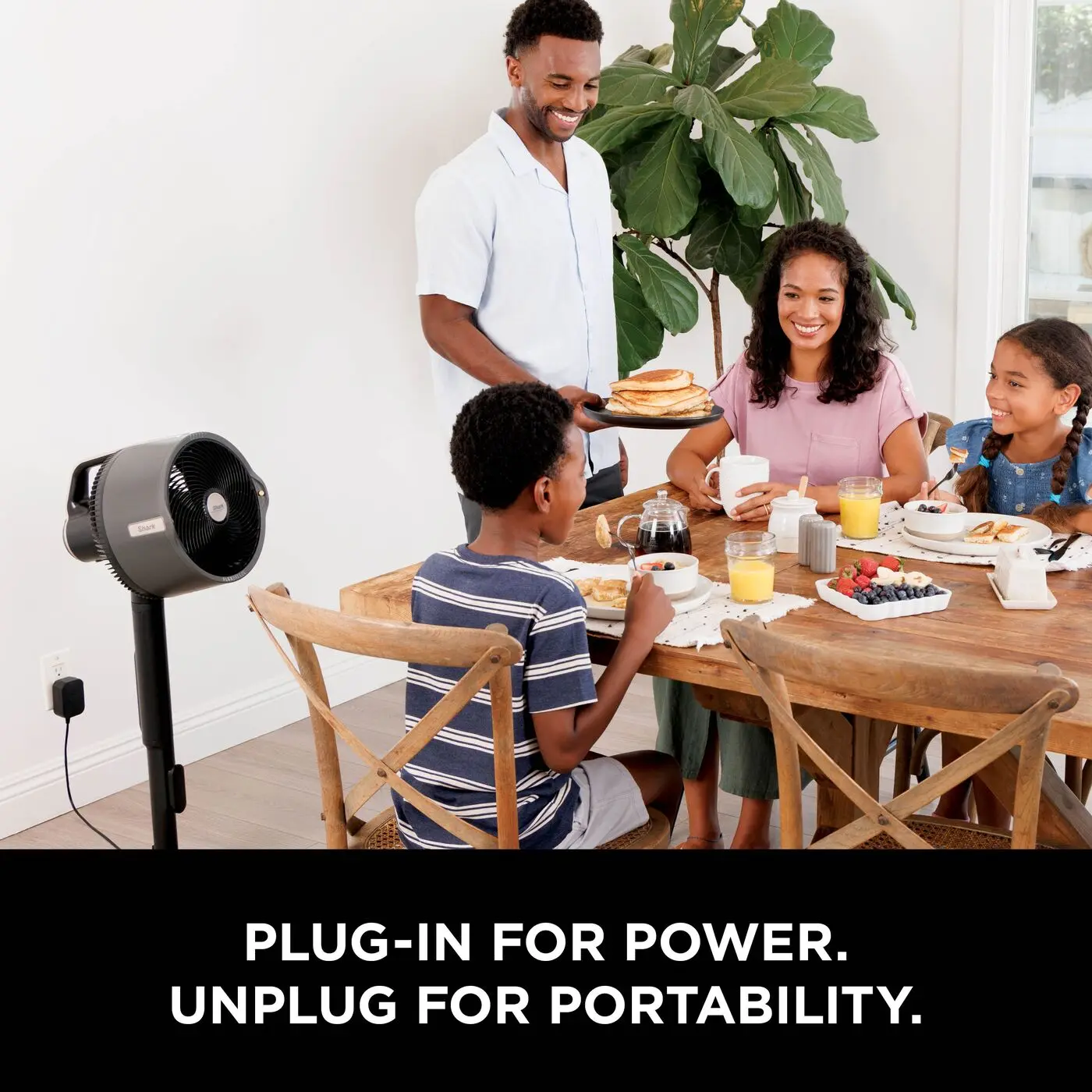 FlexBreeze Pro Mist Fan, Indoor/Outdoor, Cordless, Mist Tank, 20m, Pedestal/Table, 5 Speeds